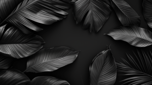 black leaf